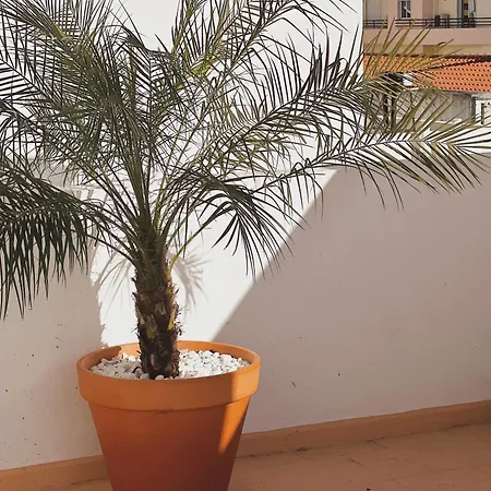 Porta 12 * Dystrykt Faro